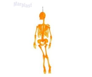 HALLOWEEN ENFEITE CAVEIRA CORES 33CM