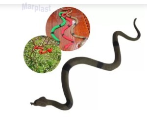 HALLOWEEN COBRA DIVERSOS