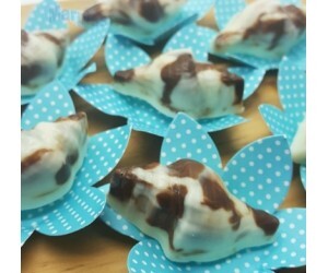 BWB SILICONE CONCHA CARACOL