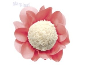 FORMINHA STYLE ROSA CHANEL C/40 UNIDADES