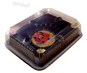 EMBALAGEM RETANGULAR GALVONOTEK